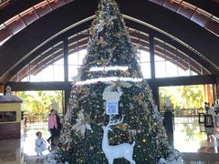 -三亚湾海居铂尔曼度假酒店