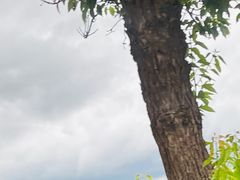 -渌洋湖湿地公园