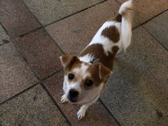 -品腐记·豆腐王朝(老门东总店)