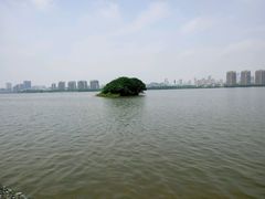 android_upload_pic-艾溪湖湿地公园