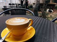 -微饮cafe