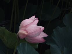 -大望京儿童游乐场