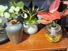 -何兮花店·气球派对鲜花店(马桥银春路万科城店)