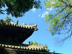 -北京国子监胡同