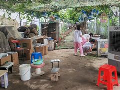 -马陆小张葡萄园农家乐