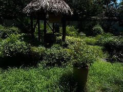 -木子山庄·安徽省老字号·中国炖锅宴