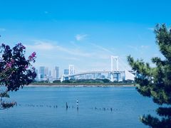 -台场海滨公园船码头