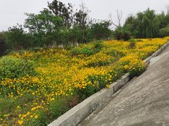 -桤木河湿地公园