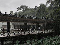 -荔湾湖公园