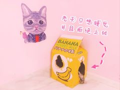 -三花喵·撸猫购宠·宠物生活馆(虹桥南丰城店)