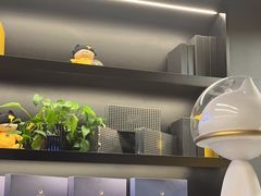 -梵猫·新养生(加州广场店)