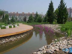 -石榴庄公园