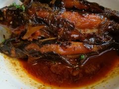 黄辣丁-马仕玖煲·融合菜·酥不腻烤鸭(人大店)