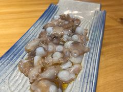 -东海章鱼馆(恒瑞街店)