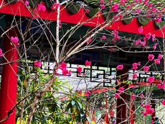 -南汇桃花村