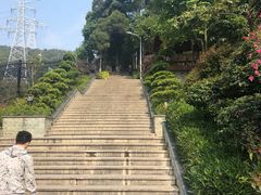 -仙岳公园