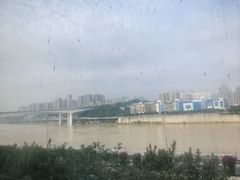 -李子坝梁山鸡(李子坝大鸡哥店)