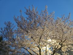 -江南大学(蠡湖校区)