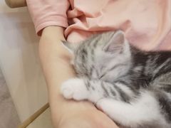 -猫咪派对(江南西店)