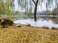 -堤角公园