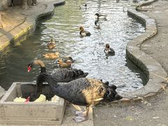 -水绘园