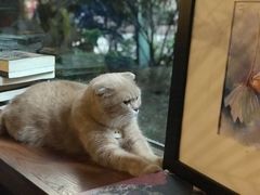 -咖法森林·咖啡  酒吧(天河店)