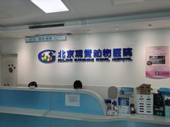 -北京观赏动物医院·24小时大型综合·猫专科·异宠专科