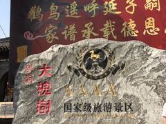 -大槐树寻根祭祖园