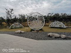 -小麦岛公园