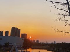 -洋湖国家湿地公园