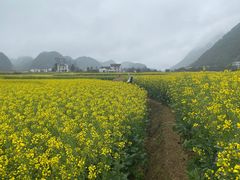 -八卦田遗址公园
