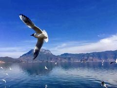 -丽江泸沽湖景区