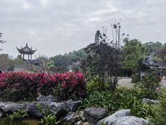 -顺峰山公园