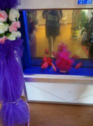 -苗方清颜专业祛痘养生