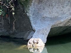 -柯岩风景区