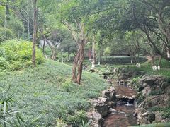 -杭州花家山庄