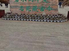 -丹江大观苑