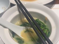 -觀芷隐轩