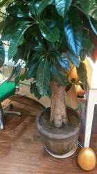 -艺米阳光Hair Salon