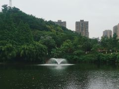-重庆彩云湖湿地公园