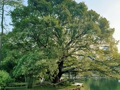 -晓港公园