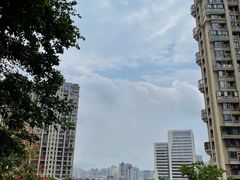 -仙岳公园