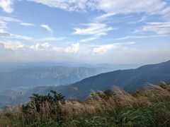 -大围山国家森林公园