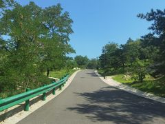 -白水寺森林公园