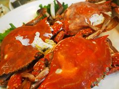 -鑫渔港海鲜本地菜·山海关浑锅(东戴河店)