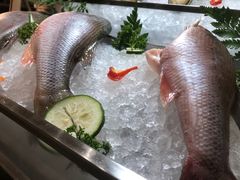 -索菲特酒店 · 云尚天际自助餐厅