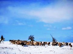 -新疆天山野生动物园