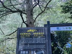 -苍山感通索道