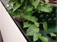 -老牌坊•鲁菜名店•地道济南菜(大观园商埠店)