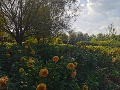 -沈阳植物园